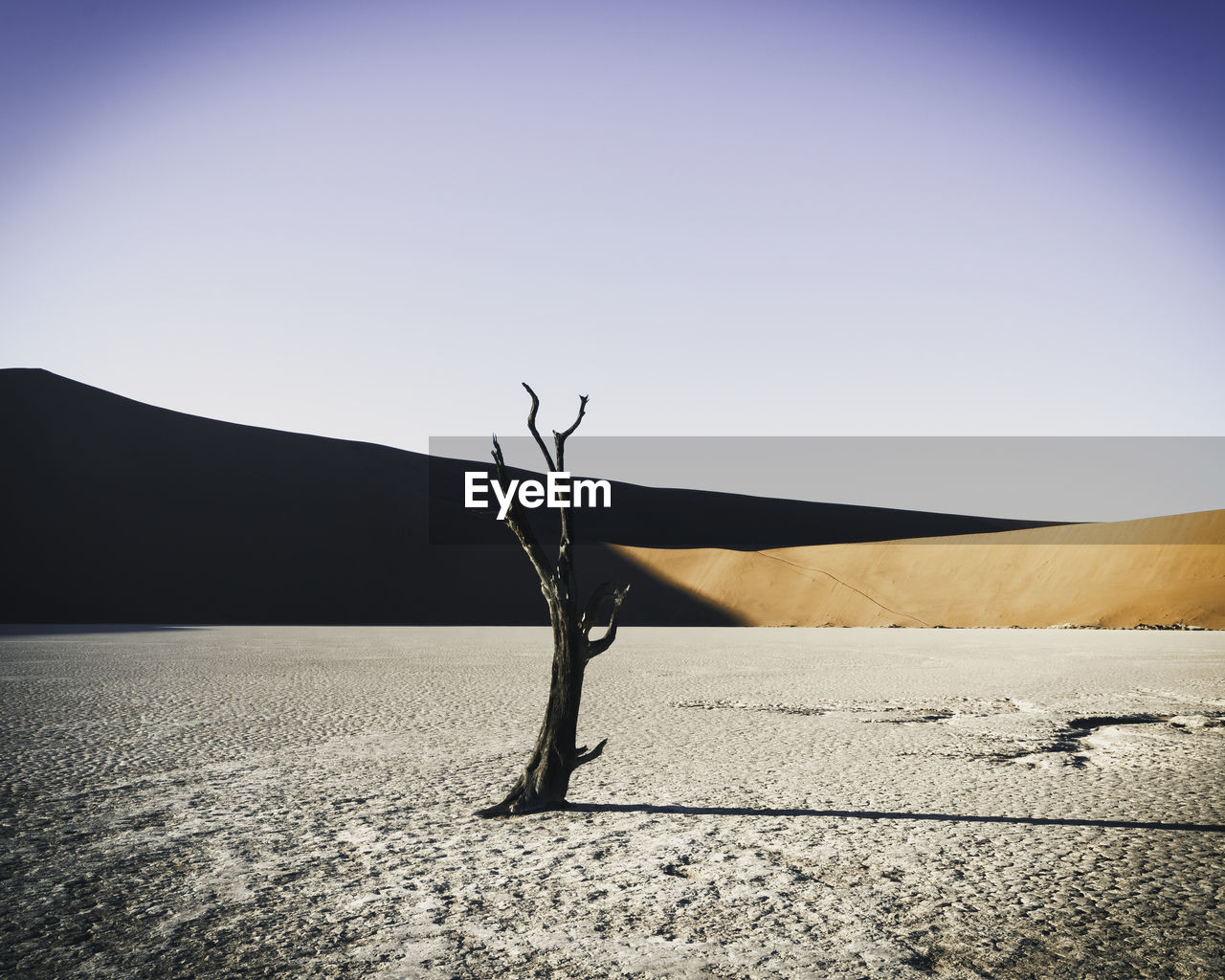 SCENIC VIEW OF LAND AGAINST CLEAR SKY