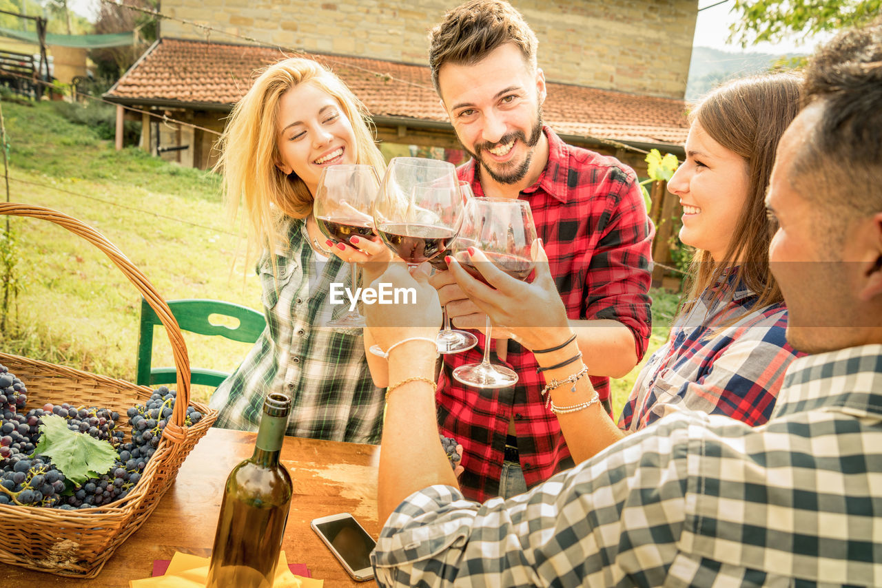 Friends toasting wineglasses