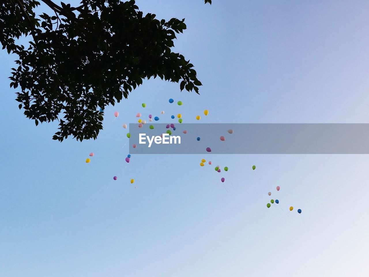 Low angle view of balloons flying over tree against clear blue sky