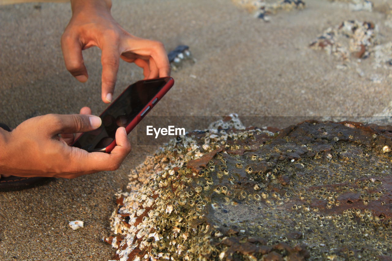 Cropped hands of person photographing rock with smart phone at beach