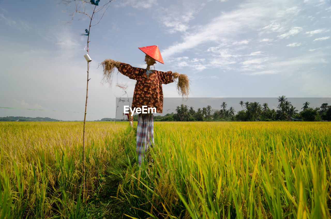 rear view of woman with arms outstretched standing on grassy field against sky