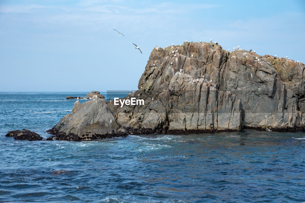 Lots of seagulls stand on rocks isolated in the ocean, relaxing and flying around the rocks.