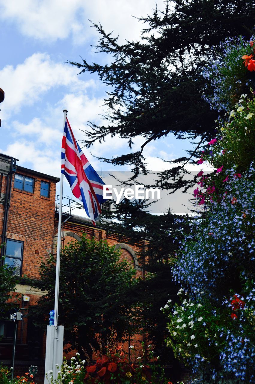 LOW ANGLE VIEW OF FLAG FLAGS AGAINST TREES