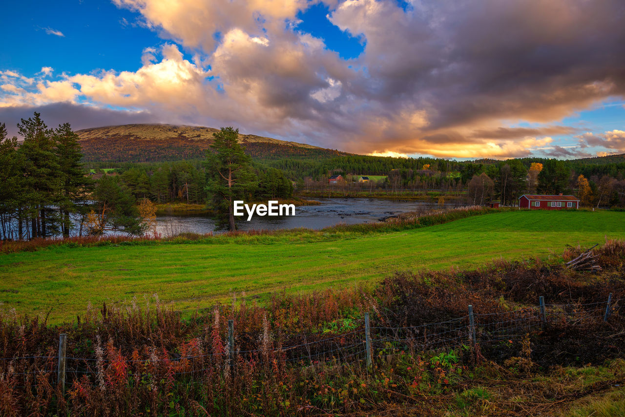 scenic view of field against sky during sunset