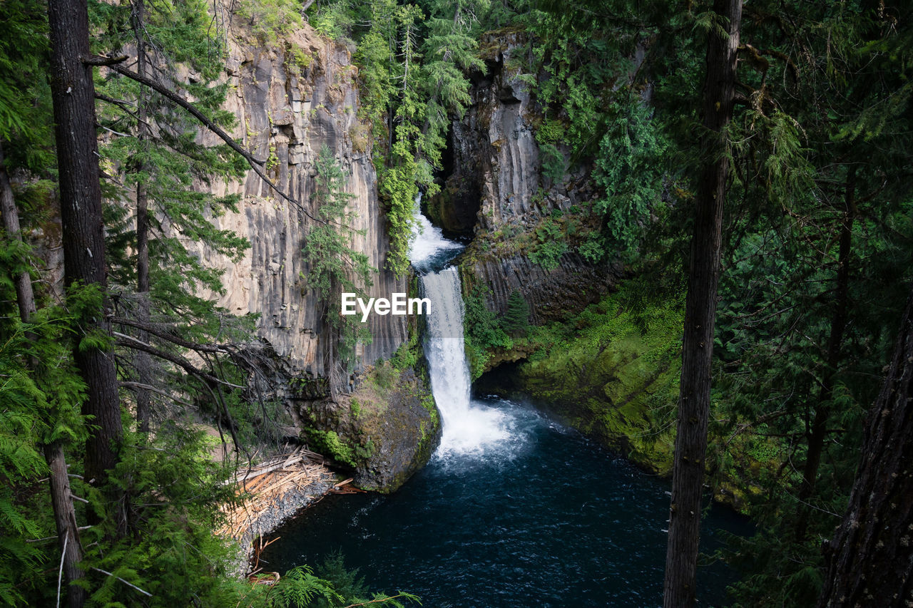 Scenic view of waterfall in forest