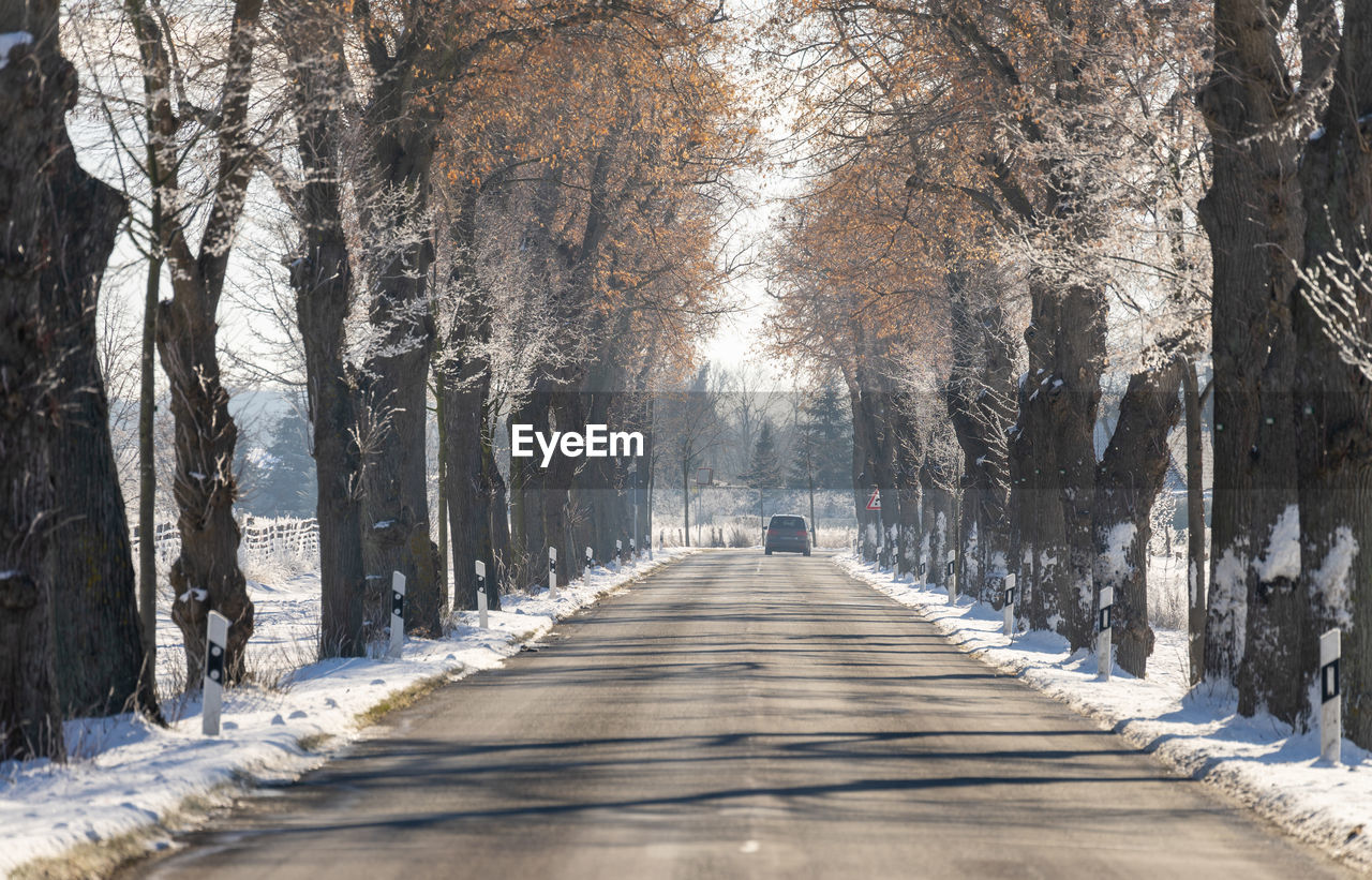 Road amidst trees in forest during winter