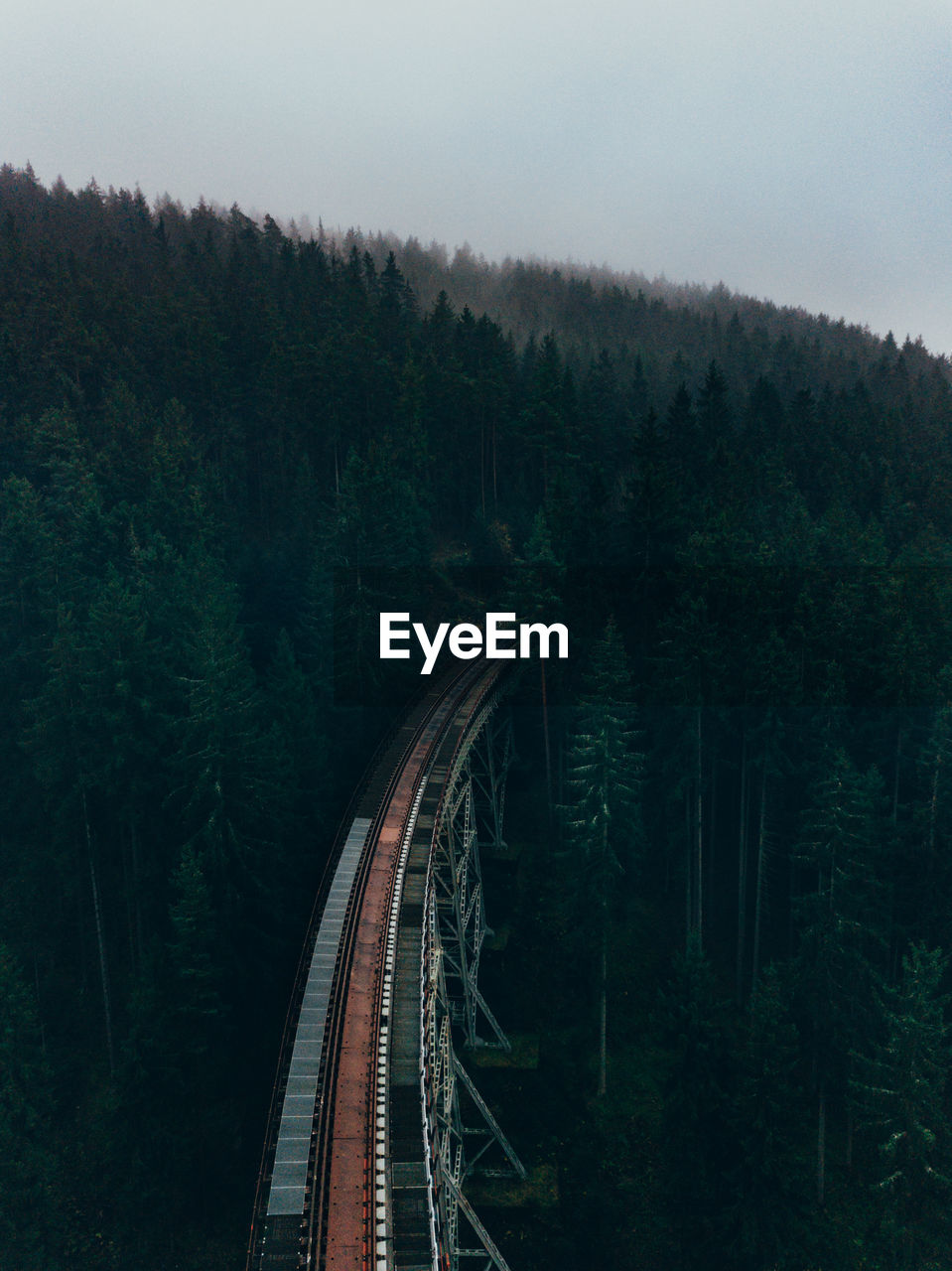 High angle view of bridge amidst forest