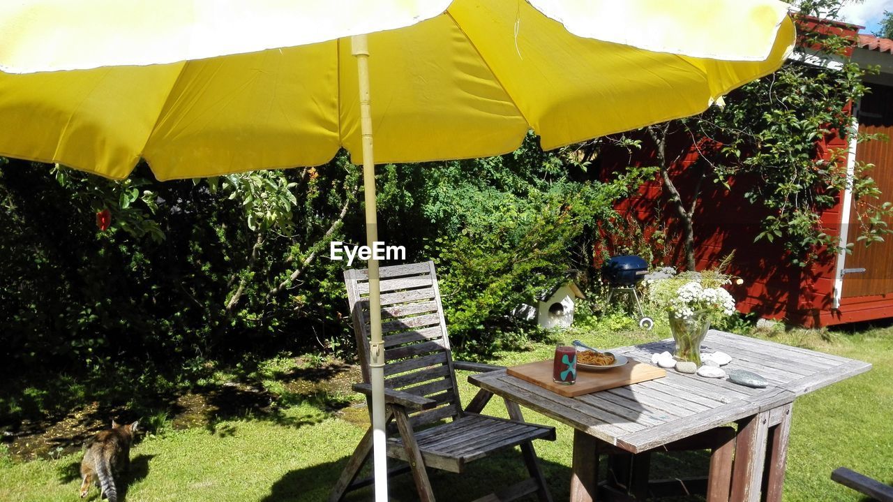 TABLE AND CHAIRS AGAINST TREES AND YELLOW SKY