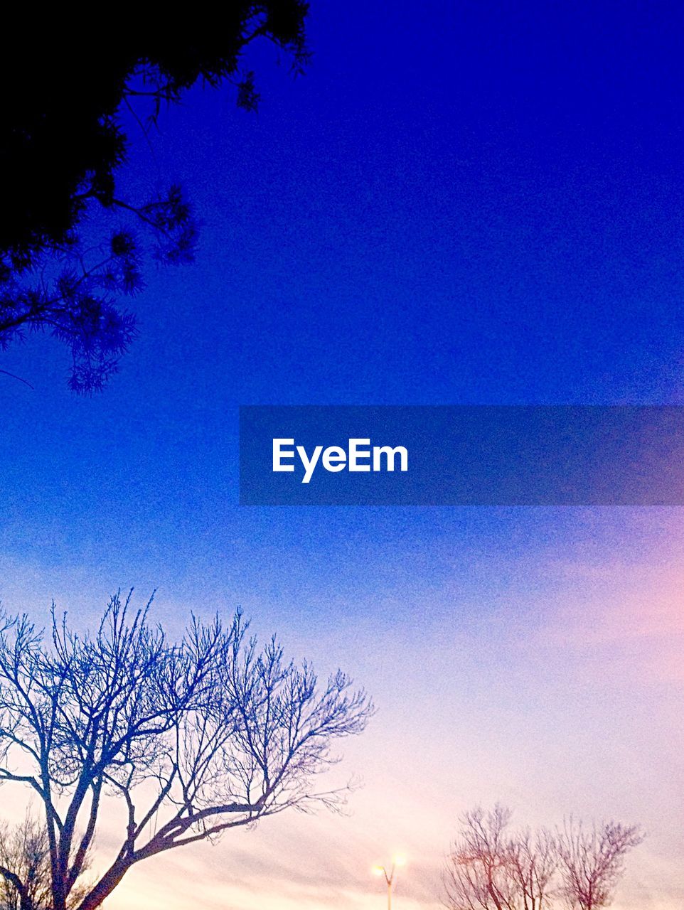 LOW ANGLE VIEW OF SILHOUETTE TREE AGAINST CLEAR BLUE SKY