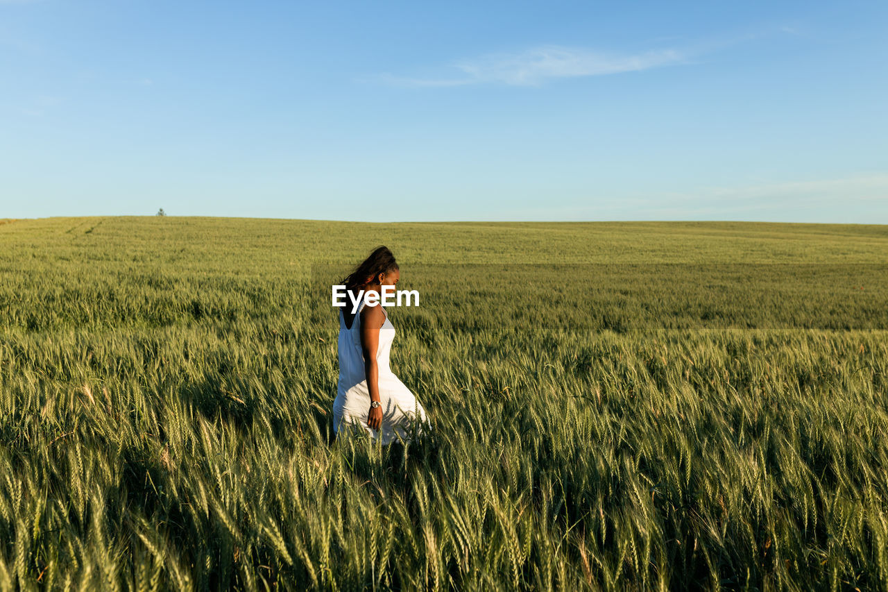 Side view young black lady in white summer dress strolling on green wheat field while looking down in daytime under blue sky