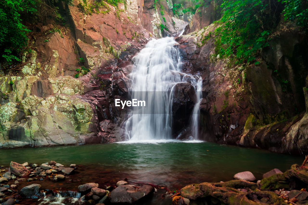 Scenic view of waterfall in forest