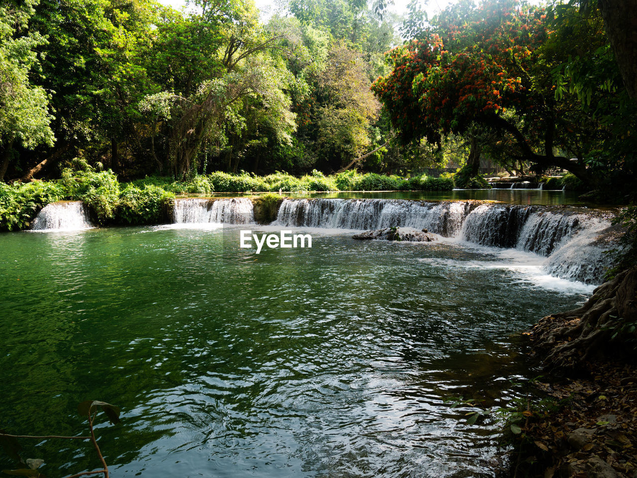 RIVER FLOWING IN FOREST