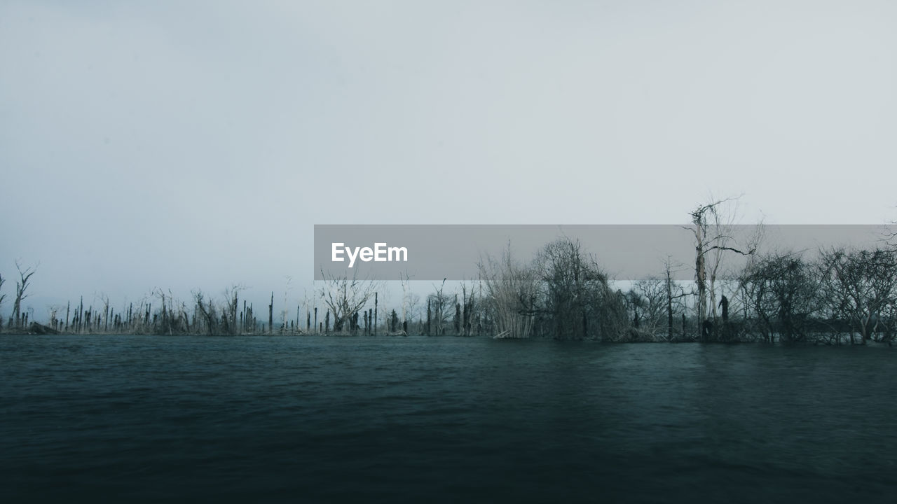 TREES AND LAKE AGAINST SKY