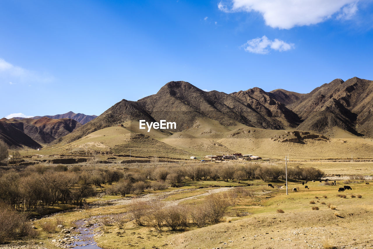 Mountains with meadow in foreground under blue sky