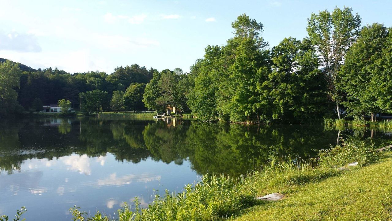 Scenic view of lake in forest against sky