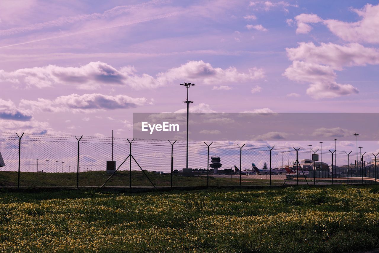 FIELD AGAINST SKY