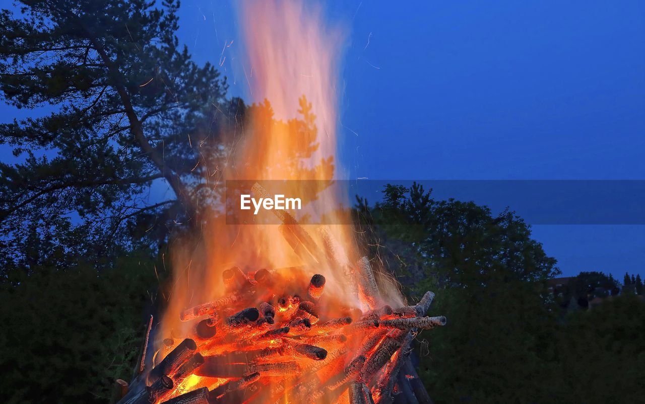 Bonfire against trees in forest against sky