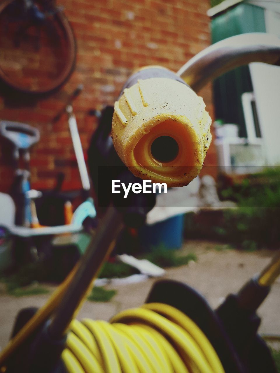 CLOSE UP OF LEAF ON THE GROUND