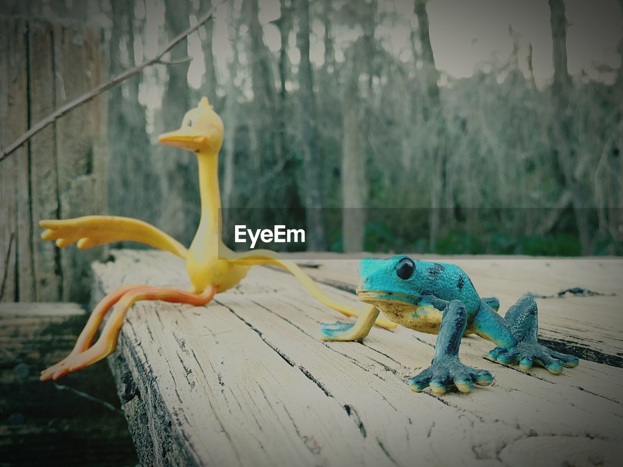 Close-up of toys with bird and frog shapes on plank