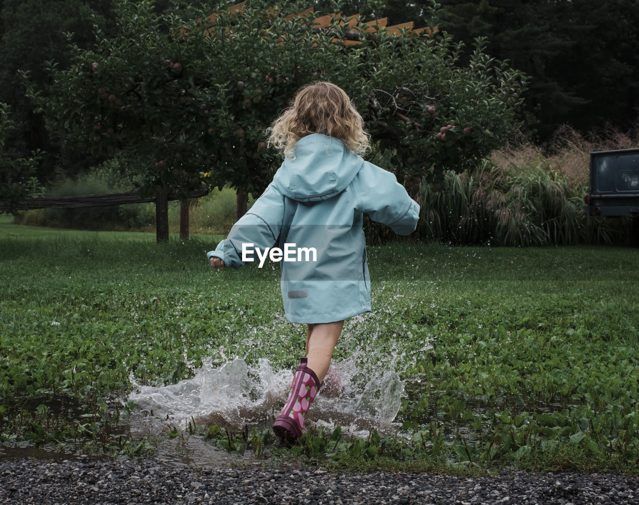 Rear view of playful girl splashing water in puddle at apple orchard