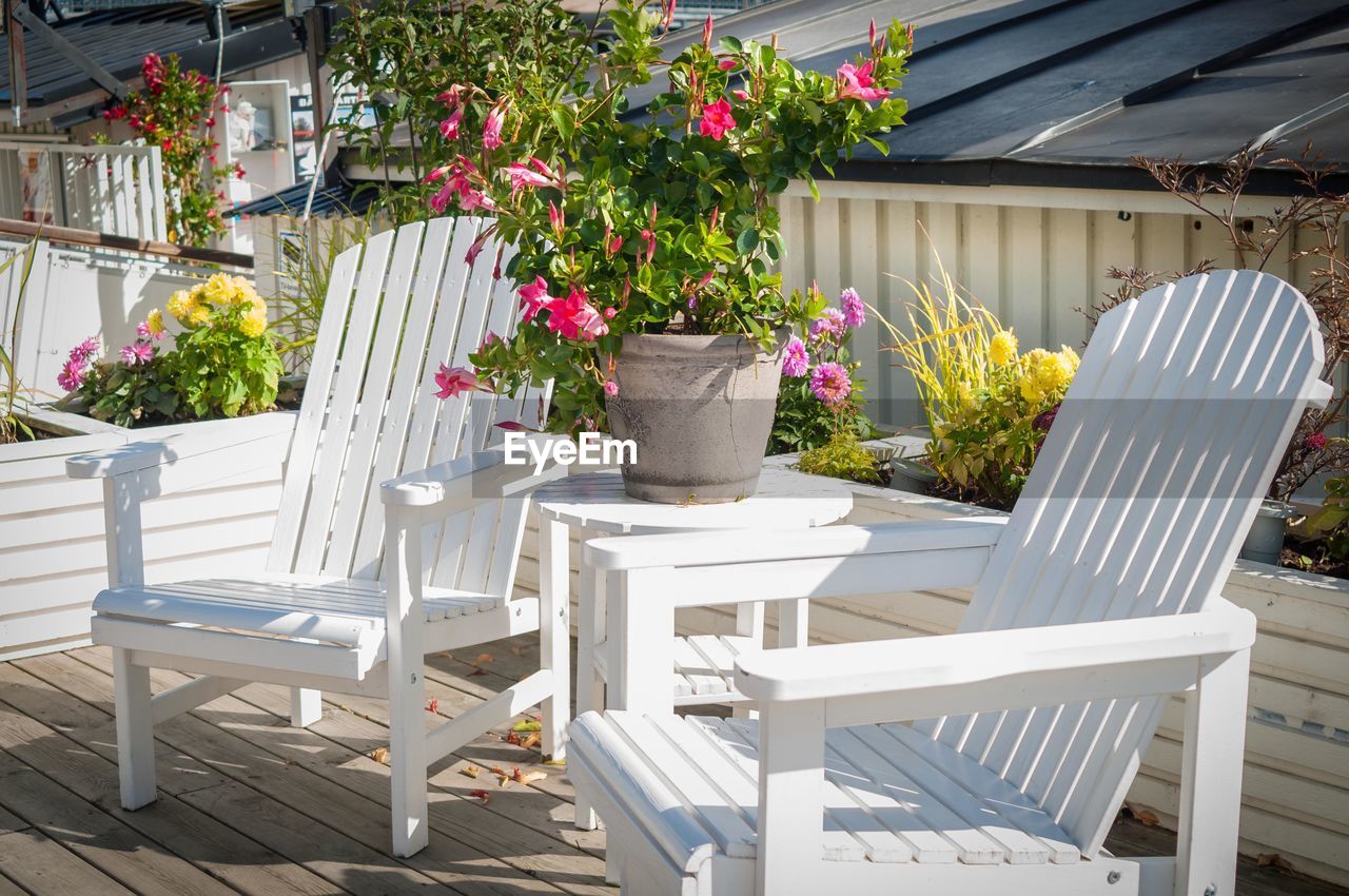 POTTED PLANT ON TABLE AT PORCH