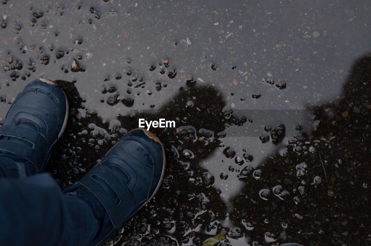 Low section of boy wearing shoes standing on wet road