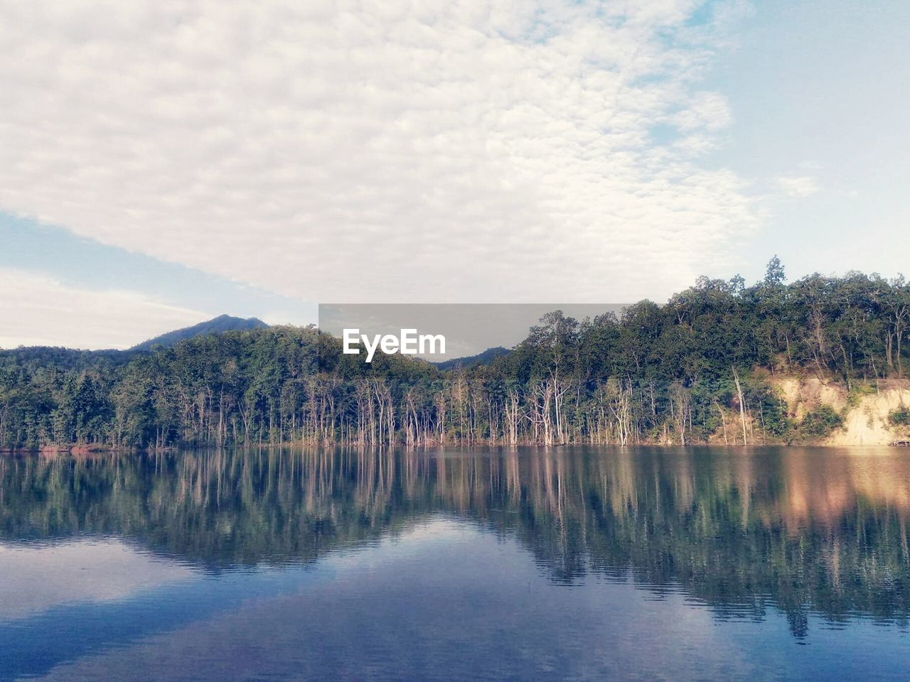 REFLECTION OF TREES IN LAKE AGAINST SKY