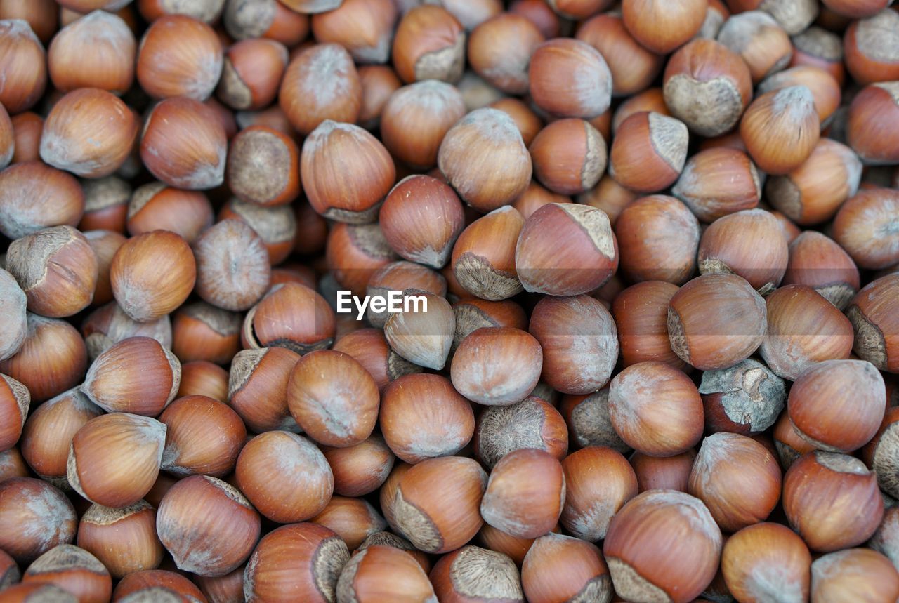 Full frame shot of hazelnuts