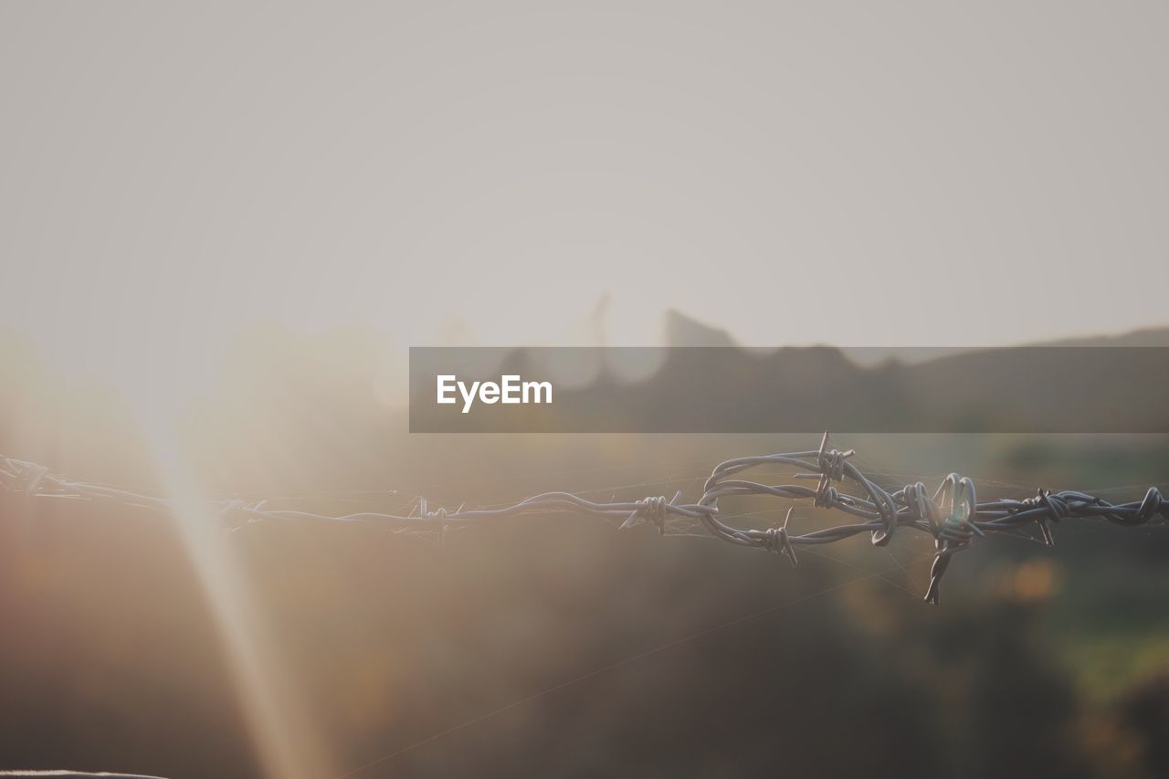 Close-up of barbed wire against sky