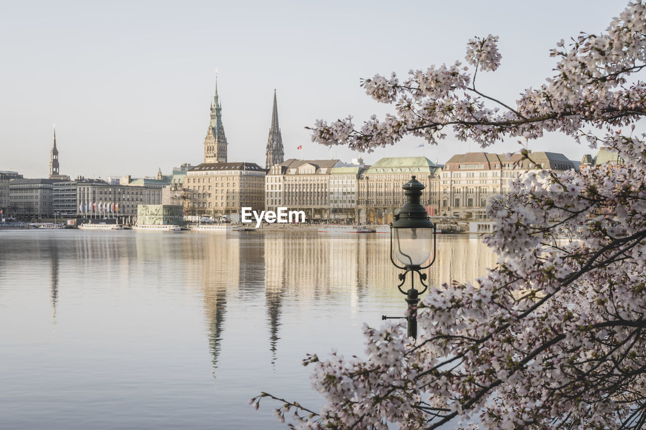 Germany, hamburg, inner alster lake in spring with street light and cherry blossom branches in foreground