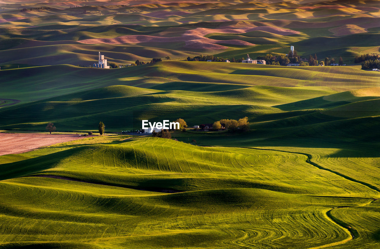 SCENIC VIEW OF RURAL LANDSCAPE