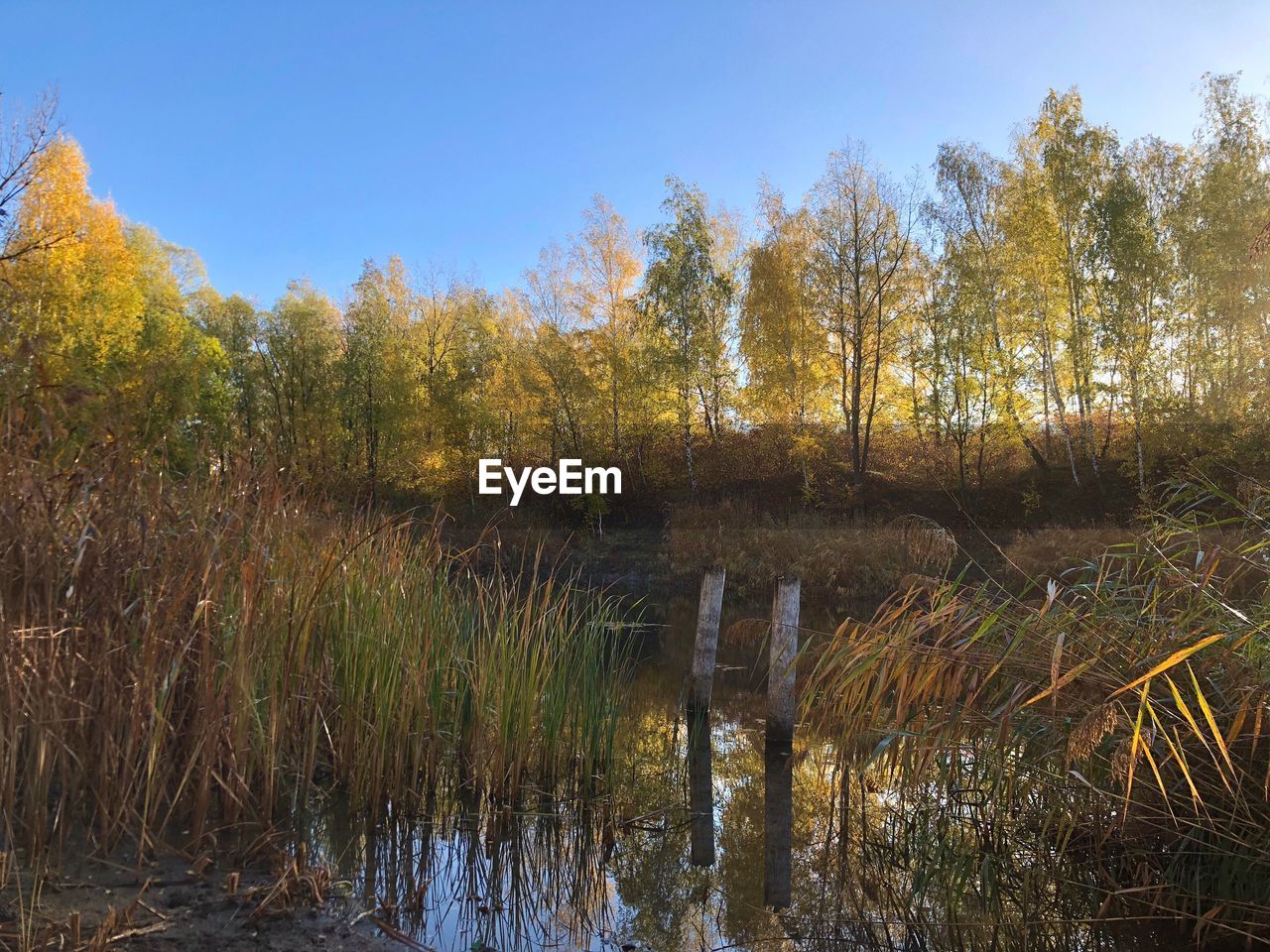 SCENIC VIEW OF RIVER AGAINST SKY