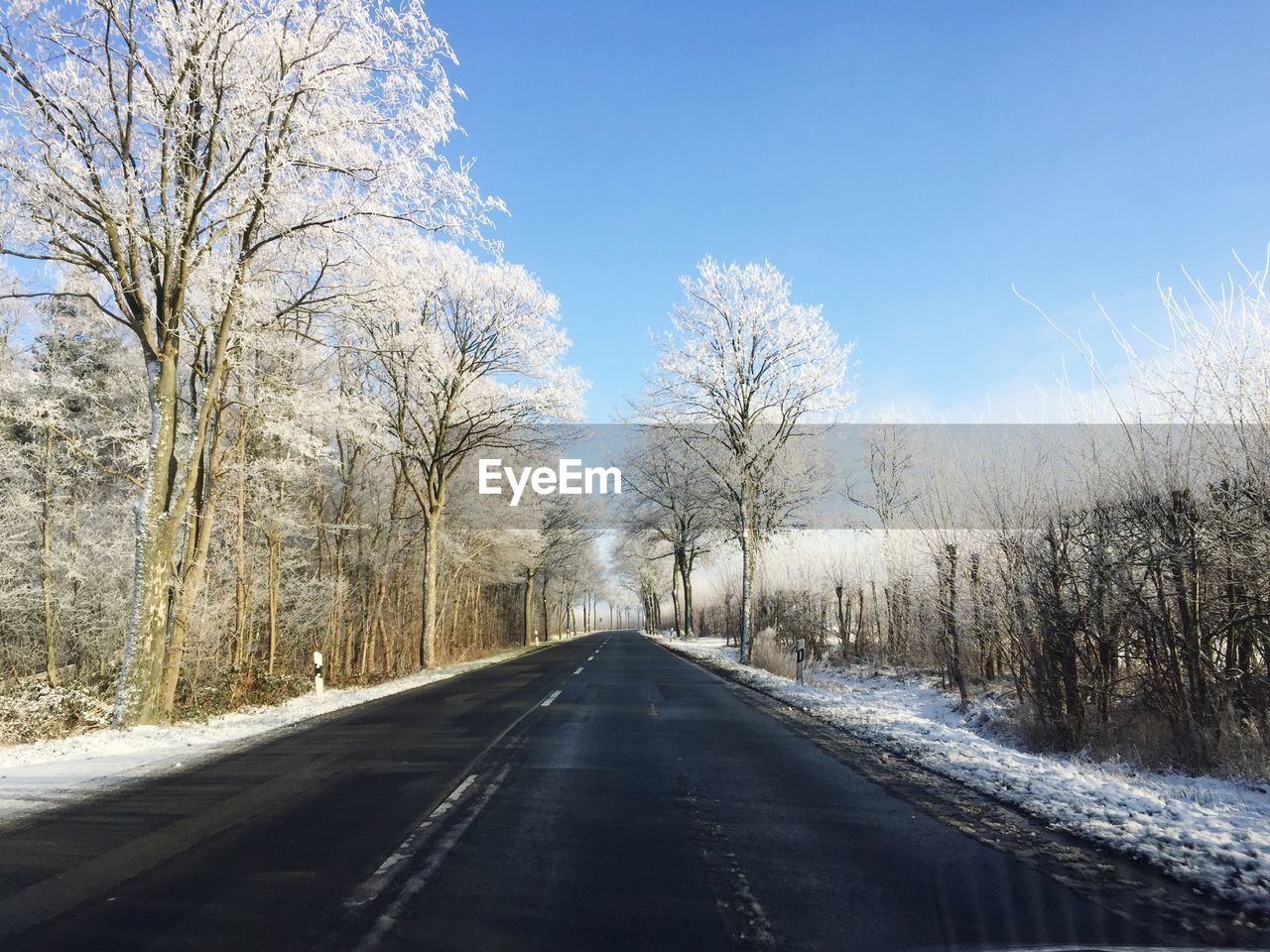 Road amidst trees against sky during winter