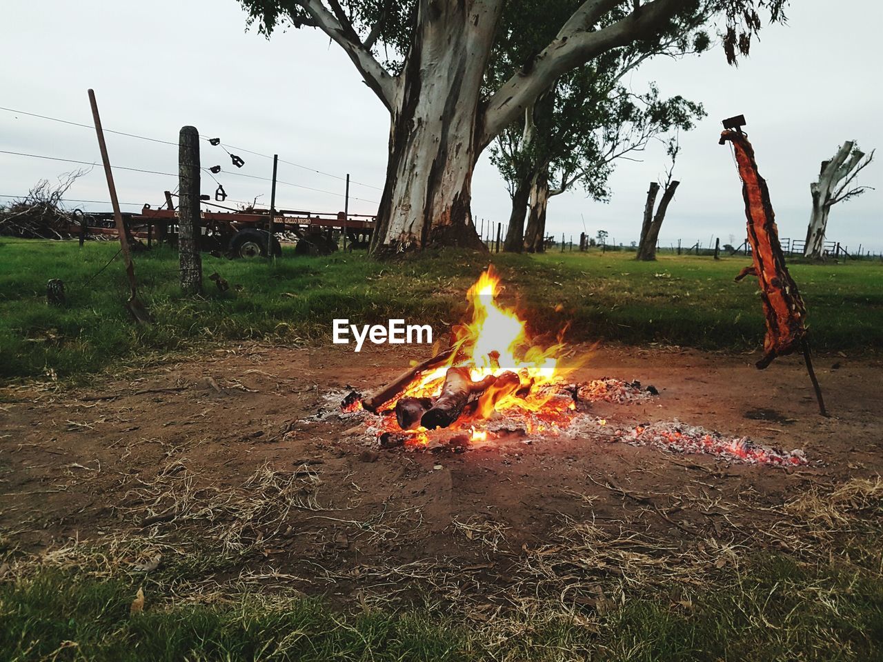 CAMPFIRE ON FIELD AGAINST SKY