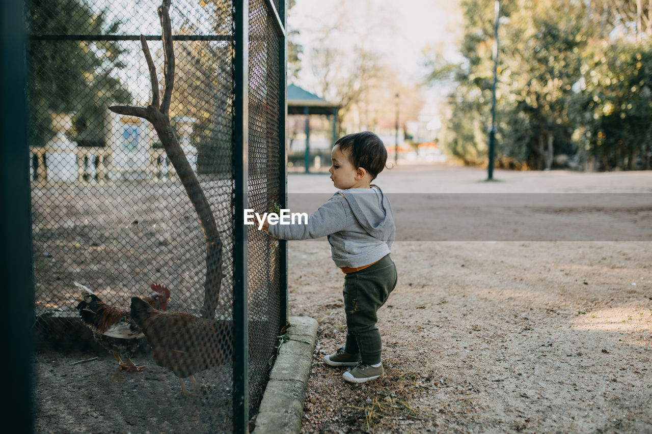 Full length of boy standing by fence