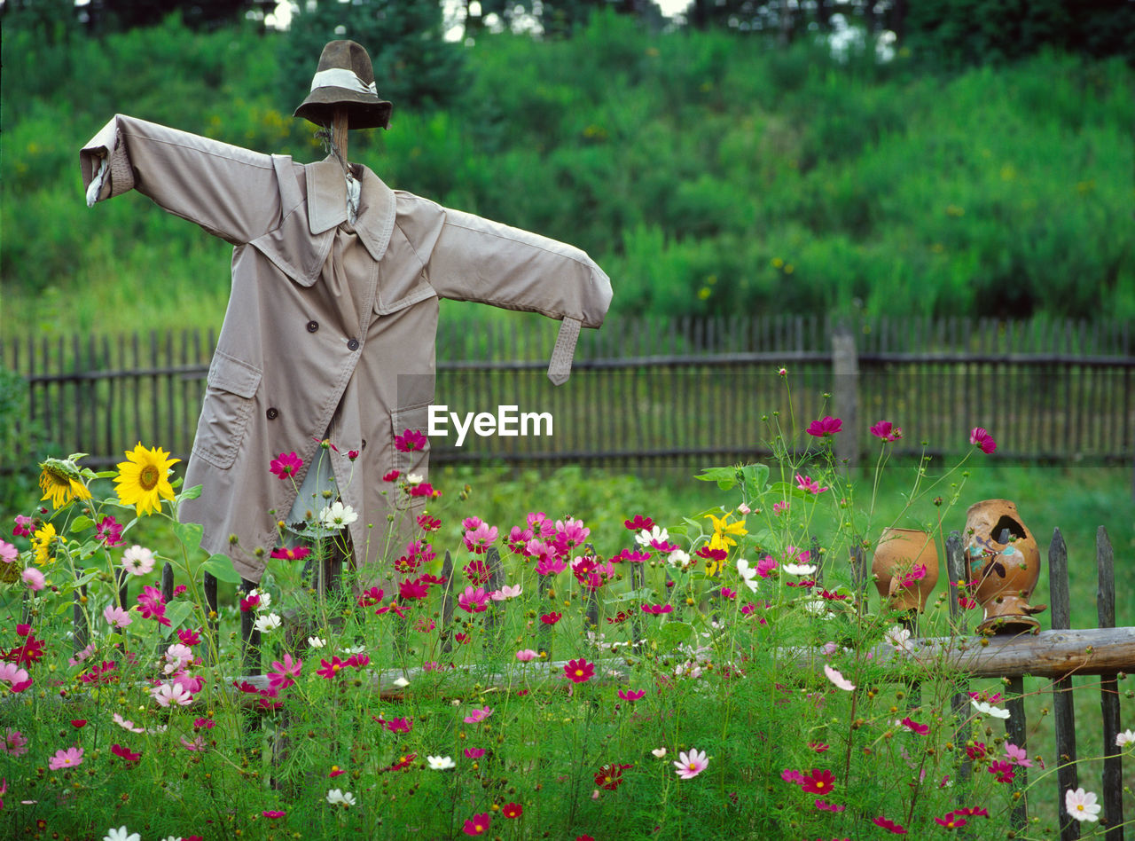 Scarecrow by flowers on field