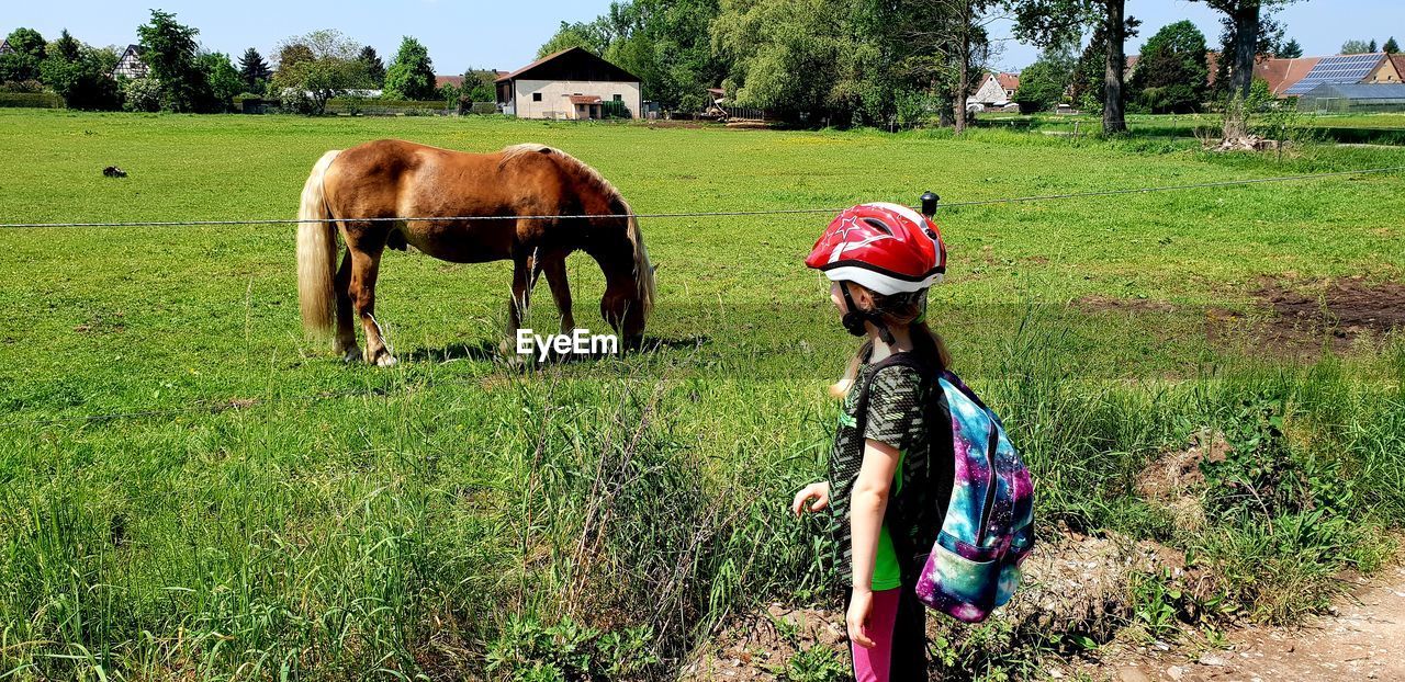 Girl looking at grazing horse on field