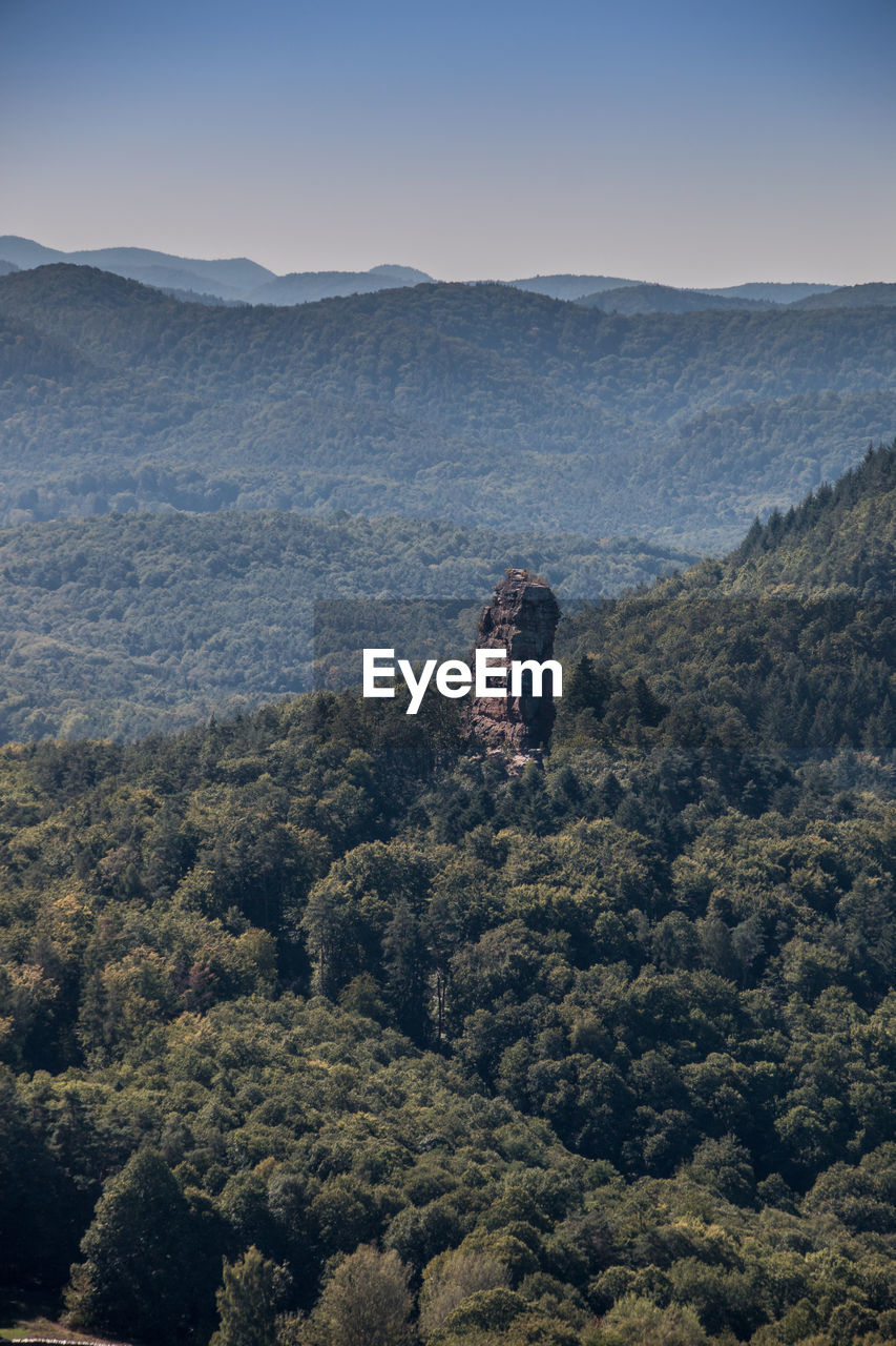 High angle view of trees on landscape against sky