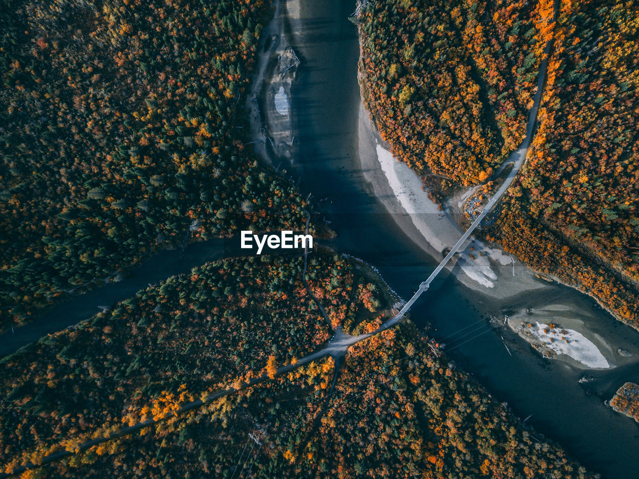 HIGH ANGLE VIEW OF TREES BY WATER