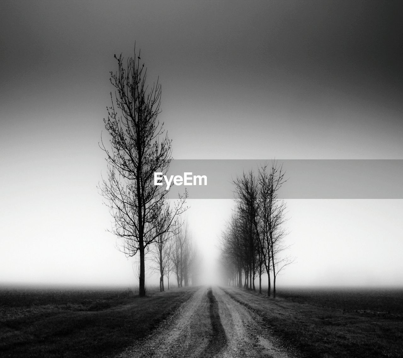 TREES ON LANDSCAPE AGAINST SKY