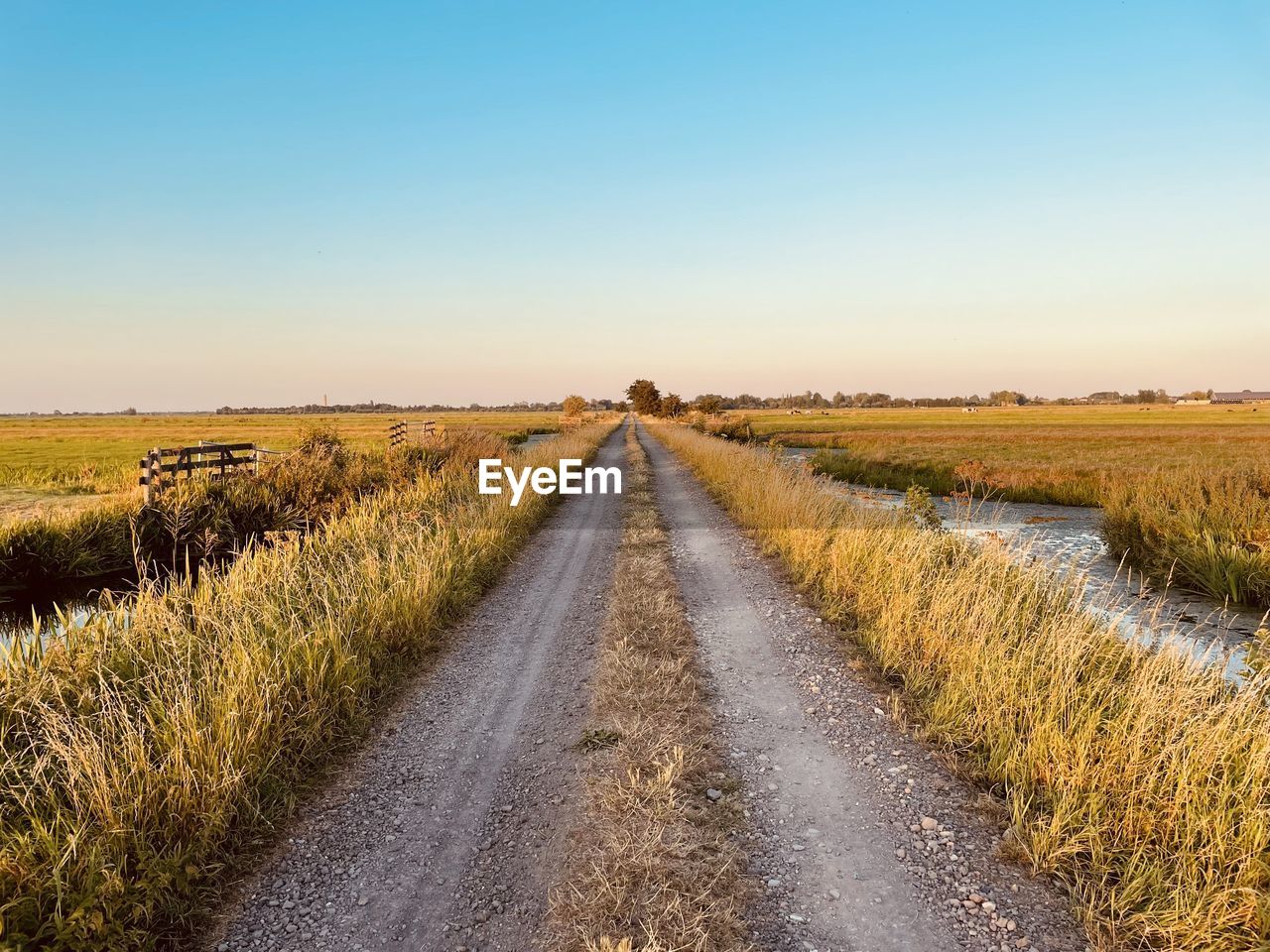 landscape, sky, environment, horizon, prairie, land, field, road, rural area, rural scene, nature, plant, the way forward, scenics - nature, agriculture, diminishing perspective, tranquility, plain, morning, beauty in nature, clear sky, transportation, dirt road, vanishing point, crop, tranquil scene, no people, blue, grass, hill, dirt, grassland, horizon over land, natural environment, footpath, farm, cereal plant, growth, non-urban scene, steppe, outdoors, sunlight, marsh, idyllic, soil, day, sunny, travel, food, urban skyline, remote, food and drink, corn, copy space, country road, summer