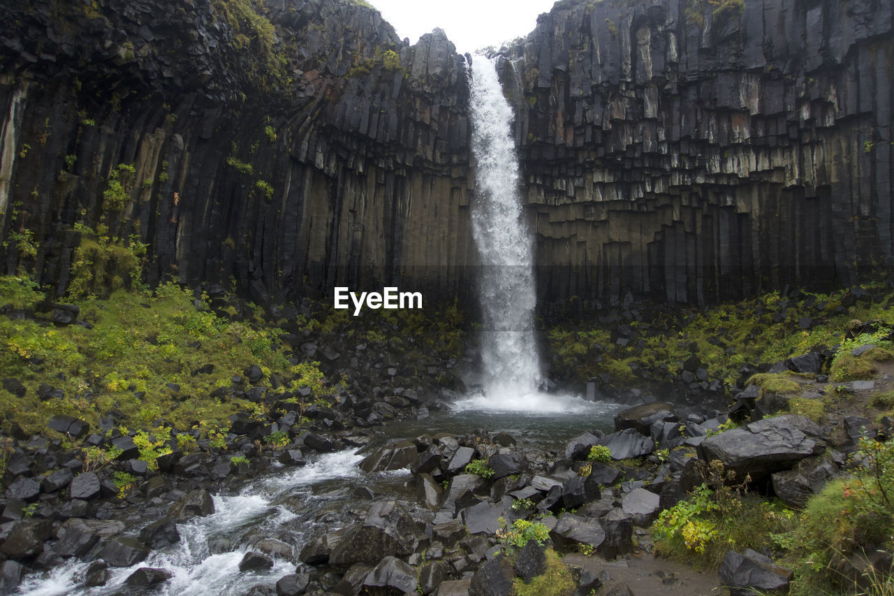 Scenic view of waterfall in forest