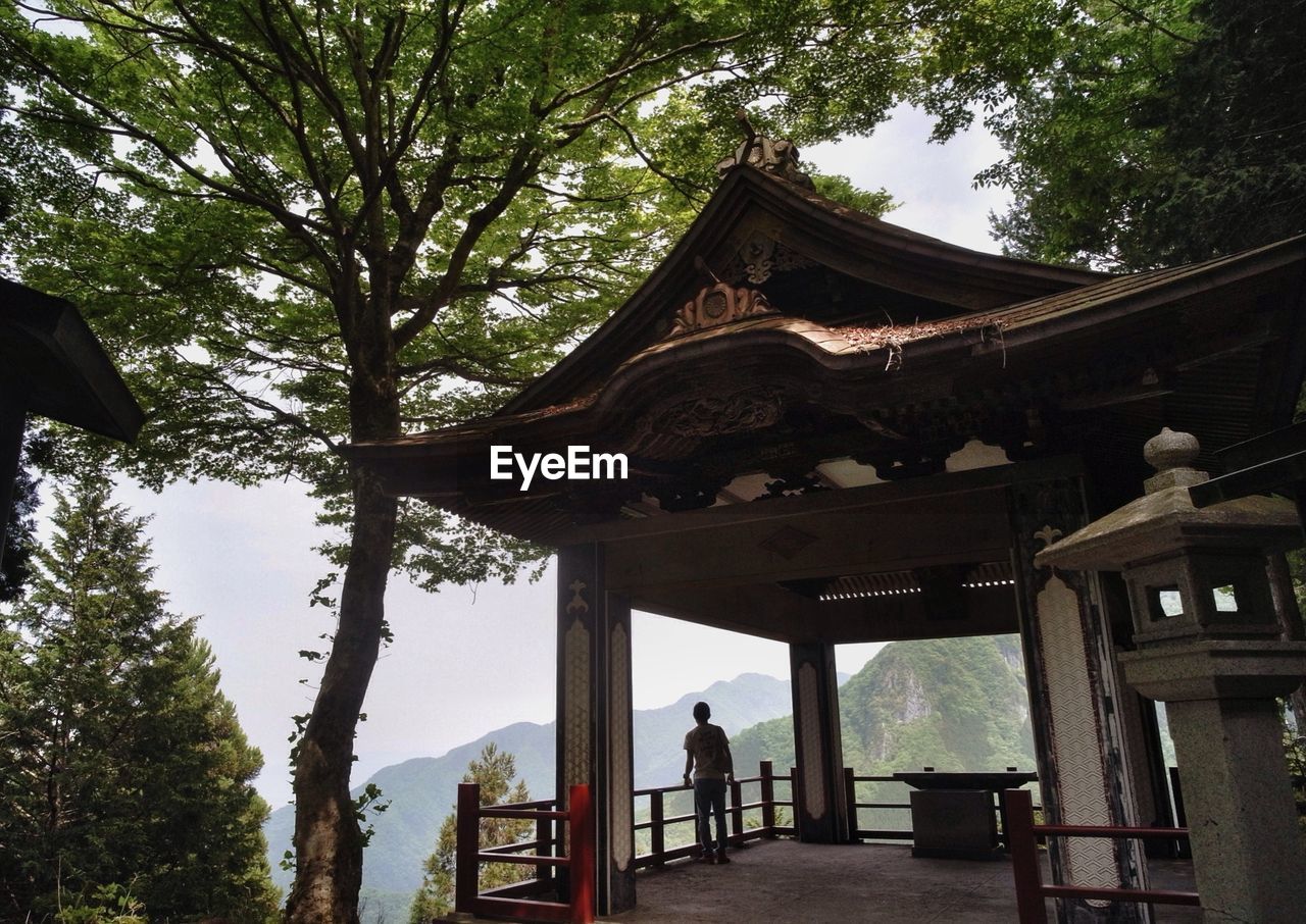 Man standing at mitsumine shrine by trees