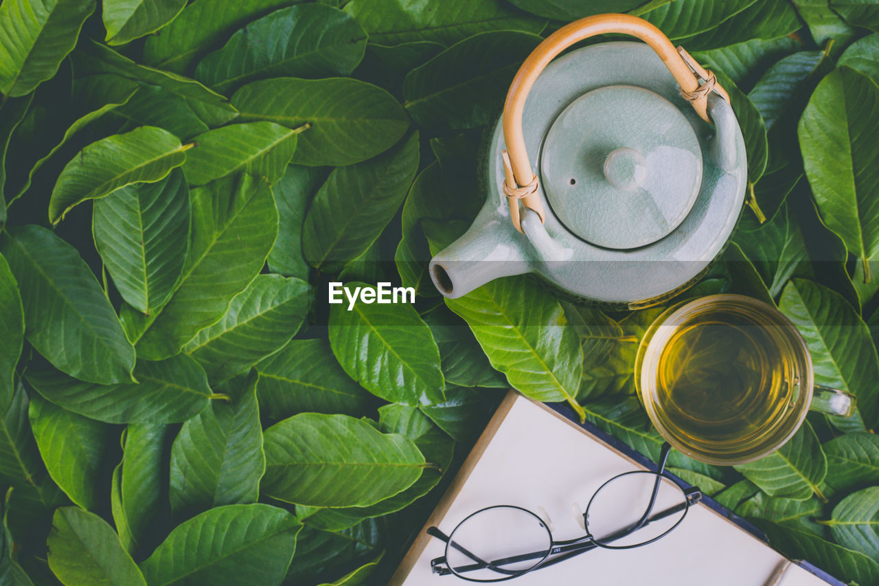 High angle view of herbal tea with teapot and eyeglasses on leaves