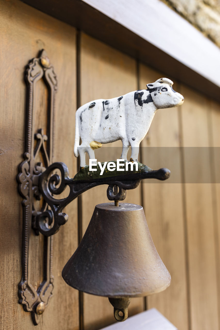 Door bell  cow