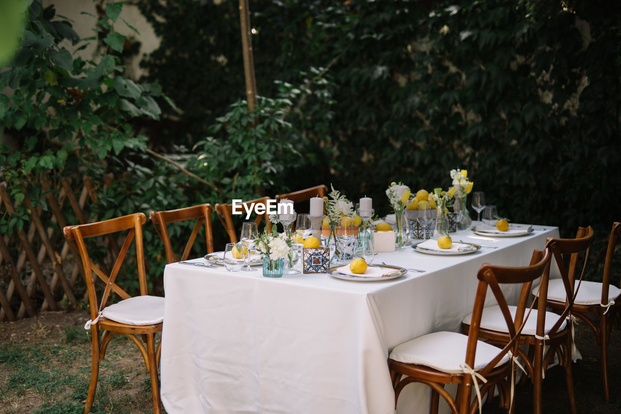 Empty chairs and table against plants in yard