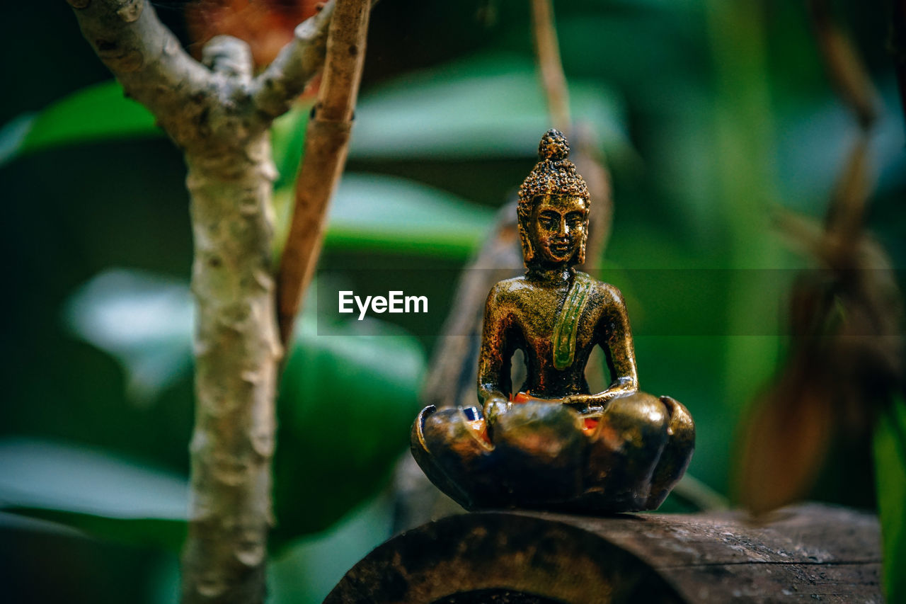 CLOSE-UP OF STATUE OF BUDDHA