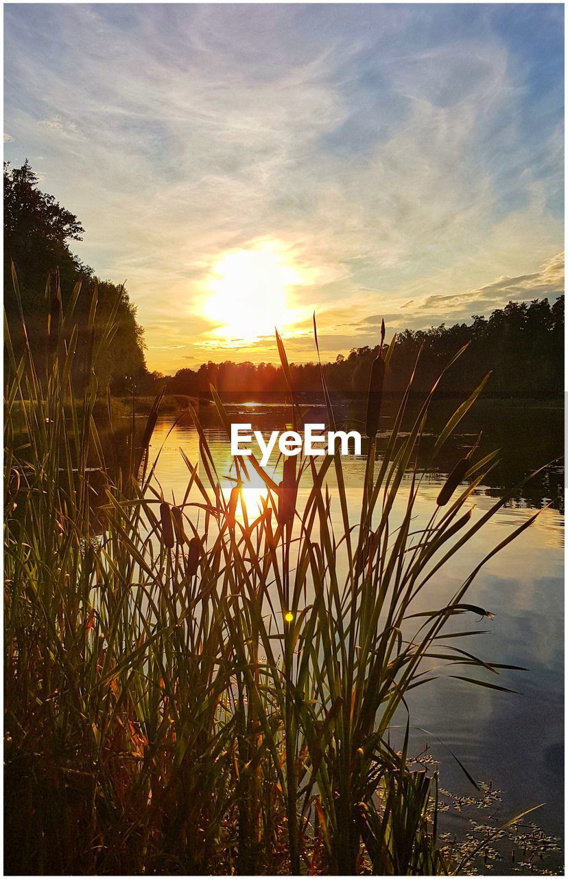 SCENIC VIEW OF LAKE DURING SUNSET