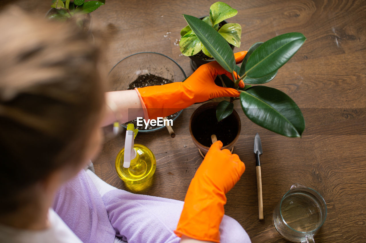 Cute girl in rubber gloves plants a potted flower indoors
