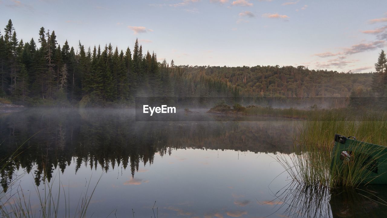 Reflection of trees in lake against sky